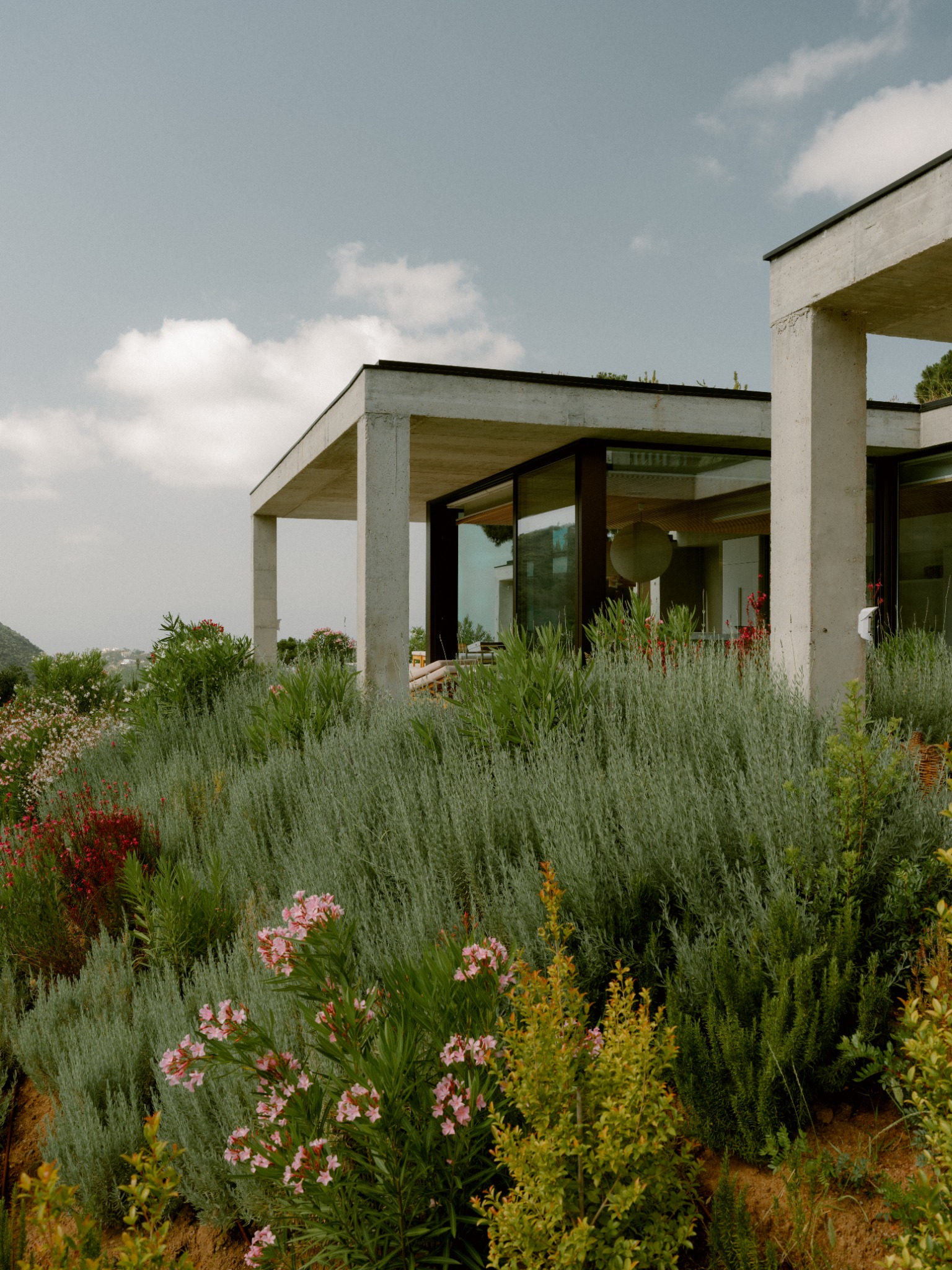 The villa among Mediterranean gardens